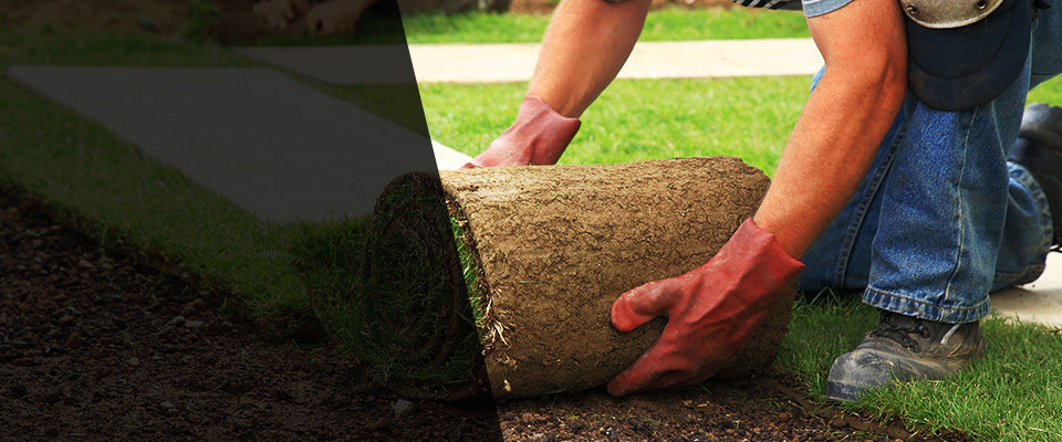 Trenton Landscapers
